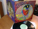 TANGLE EDGE In search of a new dawn Lp NORWAY PSYCH