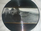 U2 Ultra rare Mexican Joshua Tree picture disc