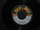 Fire Facts Sky High 45 RPM Earth In Turmoil