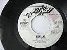 FRANK ZAPPA 45 - THE MOTHERS - I'M THE SLIME (DISCREET)