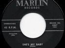 Rare Steve Alaimo 45 RPM (Miami Rockabilly) Hear it