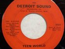 THE WANTED TEEN WORLD / HERE TO STAY KILLER GARAGE 7