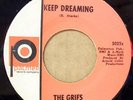 THE GRIFS KEEP DREAMING 1967 CAROLINA FUZZ GARAGE 7