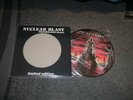 In Flames - Colony  Picture Disc RARE