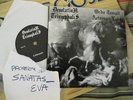 DESOLATION TRIUMPHALIS / OTAL  EP Ltd. 300 mutiilation