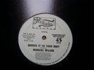 MICHAEL WILSON GROOVE IT TO 12