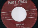 BLUES ROCKER / ROCKABILLY  FABULOUS SILVER TONES (HEAR)