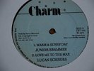 JUNIOR BRAMMER - WARM & SUNNY DAY - 12