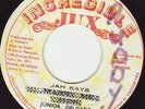 JAH SAYS - JUNIOR DELGADO- RARE ROOTS - LISTEN