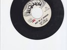 Northern Soul Monster - Cindy Lynn and the In Sounds
