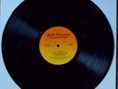 Doug Hream Blunt Gentle Persuasion private press lp