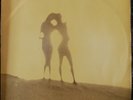 Luli & Lucinha Rare Brazil Female Psych Folk LP HEAR NM
