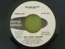 SIX FEET UNDER Fields/Freedom psych 45 (Scepter 12324)