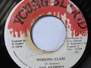 PAD ANTHONY - WORKING CLASS - JAM 45s-SAMPLE 