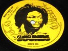 MICHAEL PROPHET Worm the jah 12