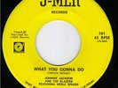 JOHNNIE JACKSON - WHAT YOU GONNA DO RARE NORTHERN CLIP