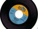 Northern Soul Ad Libs Johnny My Boy Blue Cat