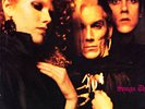 The Cramps  Songs The Lord taught Us   Vinyl