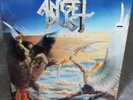 RARE Private Hard Rock LP ANGEL DUST Into The Dark Past