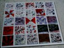 LOST SOUNDS : rare ITA ORG LP Jay Reatard M- OOP PUNK
