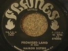 REGGAE 45 NAIROBI SISTERS Promised Land FLAMES Records
