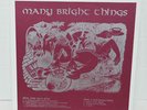 MANY BRIGHT THINGS LP Box Psych Private Numbered 1997