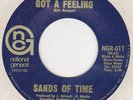 SANDS OF TIME-LATE 60'S SUNSHINE POP ROCK 45 [LISTEN]