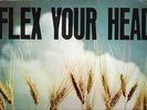 VV.AA -FLEX  YOUR HEAD-  LP USA 1982