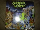 Municipal Waste/Crucial Unit Split LP toxic holocaust