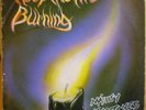 MIGHTY MAYTONES Keep The Fire Burning LP THIRD WORLD