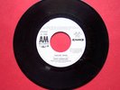 Rare SIXTO RODRIGUEZ Sugar Man SINGLE Psych Acid Folk