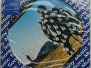 PINK FLOYD Delicate Sound of Thunder LP picture disc