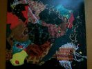 POCAHAUNTED - Island Diamonds LP best coast grouper