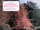 ASD 367 VIVALDI 'THE FOUR SEASONS' RENATO FASANO