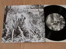 VERLAINES - DEATH AND THE MAIDEN 1983 FLYING NUN FN 014