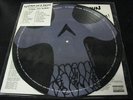 SYSTEM OF A DOWN steal this album 2LP PICTURE DISC MINT
