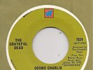 Grateful Dead 45 WB 7324 Cosmic Charlie STOCK COPY 1969