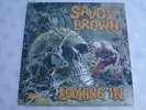 SAVOY BROWN-LOOKING IN-1st1970 G/F DECCA STEREO EX++EX+
