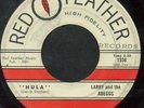 RARE TEEN Rocker 45 Larry & the Abeggs 