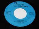 Compass 45 Spring of My Life True Love RARE SOUL HEAR