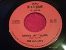 FUZZ GARAGE PUNKER 45; THE MISHAPS ON HEMPHILL, UNDER