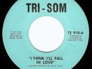 Soul Funk 45 WILLIE BROWN on Tri-Som Virginia LISTEN