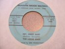 The Loose Ends-Hey, Sweet Baby  60's GARAGE 45