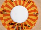 Northern Soul ANITA HUMES & ESSEX What Did I Do LISTEN