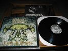DYSTOPIA/SKAVEN-split 12