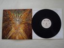 Cynic - Focus LP - Progressive Thrash Metal