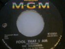 the solitaires - fool that i am - fair weather lover