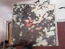 PINK FLOYD - Obscured By Clouds LP US PRESS SEALED