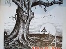 RARE ISD SKINHEAD RAC ALBUM - AFTER THE FIRE