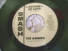 THE AMBERS-POTION OF LOVE